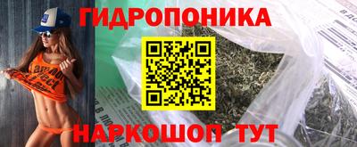 стаф Камышлов