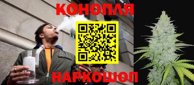 стаф Камышлов