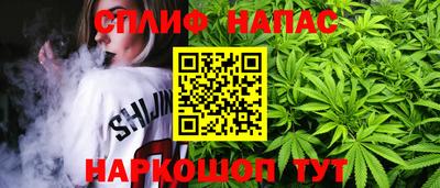 стаф Камышлов