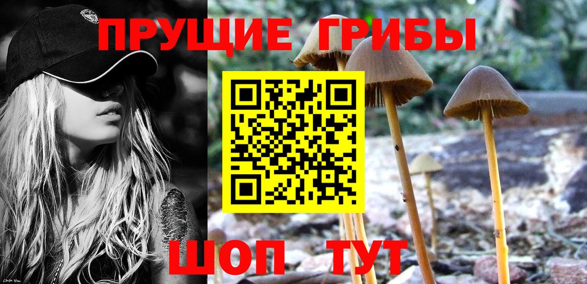 Галлюциногенные грибы Psilocybe Севастополь